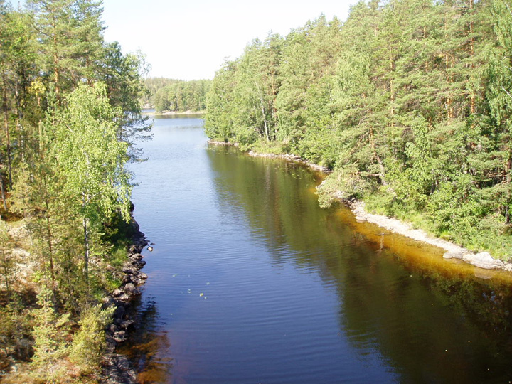 P8050005